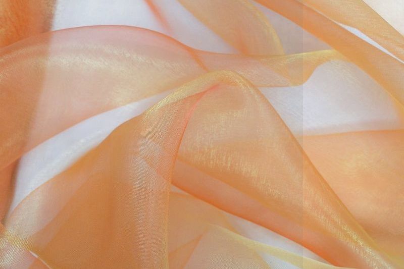 Organza