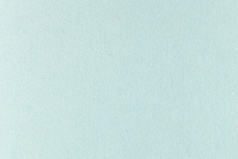Tassen vilt licht blauw VT024