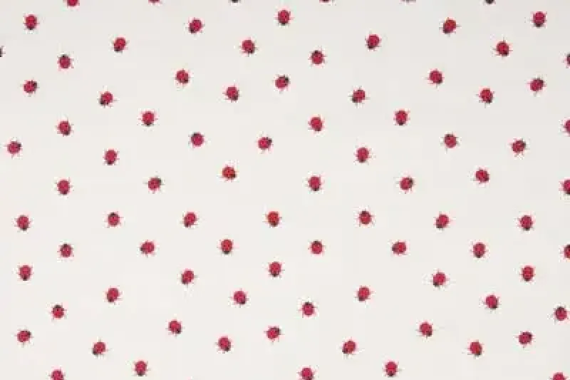 Katoen-poplin-stof-lieveheersbeestjesprint-p651