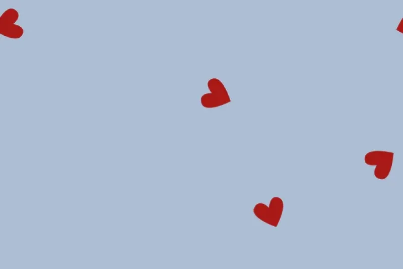 Geborduurde-mousseline-hydrofiel-stof-hartjes-P463