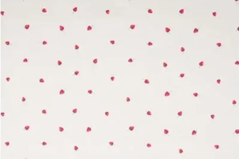 Katoen-poplin-stof-aardbeienprint-p652
