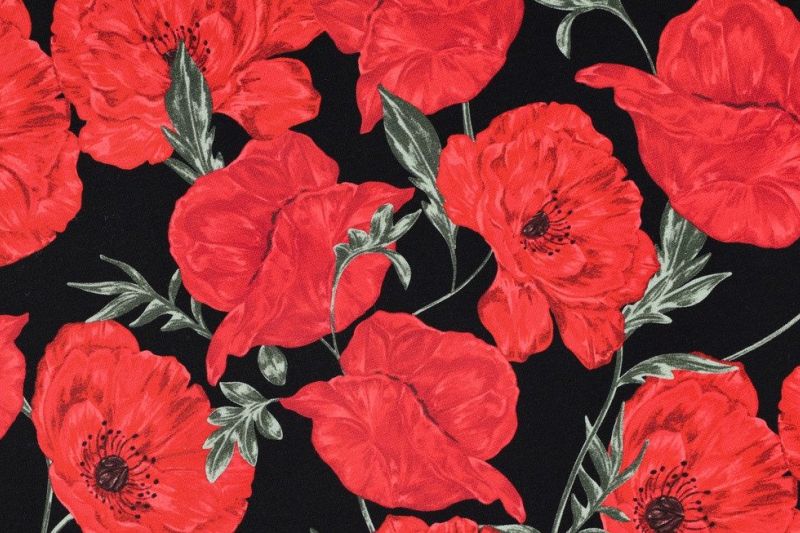 French Terry Stof, Digital Flower, Zwart/Groen/Rood. P917 -1