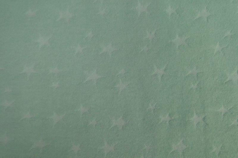 Boordstof 70 cm mint met offwhite ster