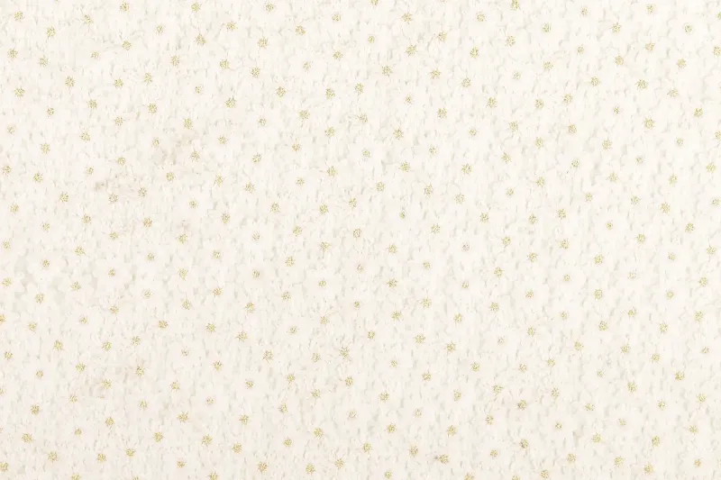 Geborduurde-bloemetjes-op-organza-P275