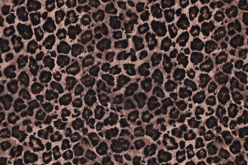 Jersey Stof Digital Dieren Print, Taupe. P912-1