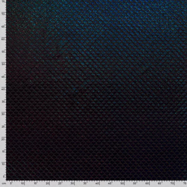 LYR069.2
