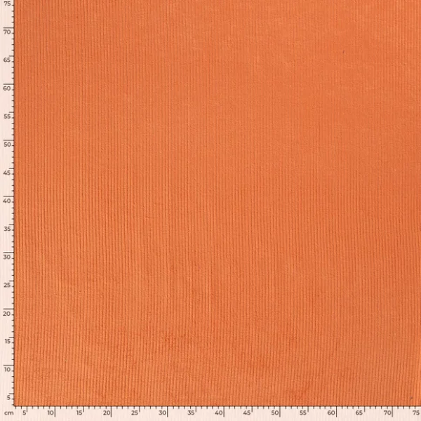 X2035.036.1
