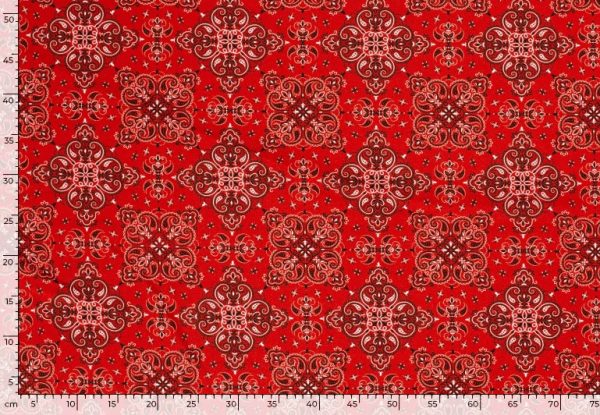 Texture-stof-boerenzakdoekprint-fnt10-3