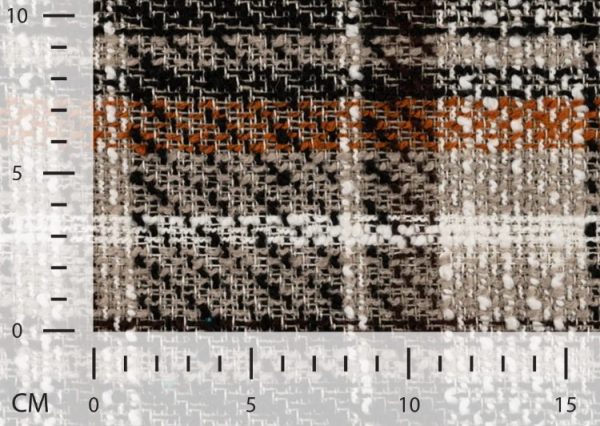 Boucle-ruit-x304-3