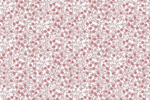 Poplin-katoen-stof-fijne-takjes-en-bloemetjesprint-x449
