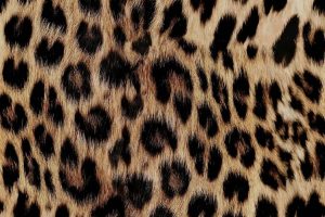 Waterdichte-stof-dierenprint-x1192