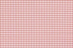 Poplin-katoen-stof-ruit-0,5R014