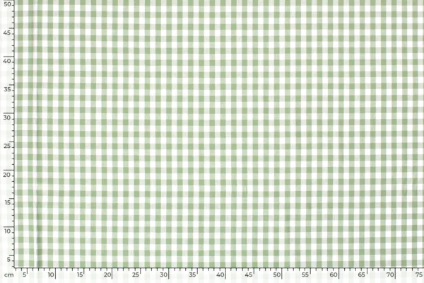 Poplin-katoen-stof-ruit-1R021-3
