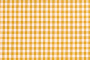 Poplin-katoen-stof-ruit-1R034