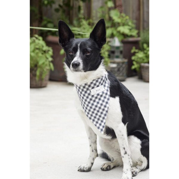 Burda Style, Naaipatroon honden accessoires 5702 - Afbeelding 9