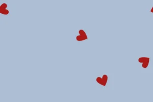 Geborduurde-mousseline-hydrofiel-stof-hartjes-P463