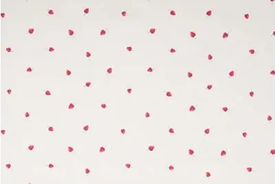Katoen-poplin-stof-aardbeienprint-p652