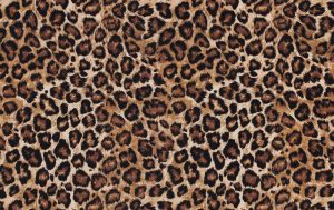 Jersey Stof Digital Dieren Print, Camel. P913-1